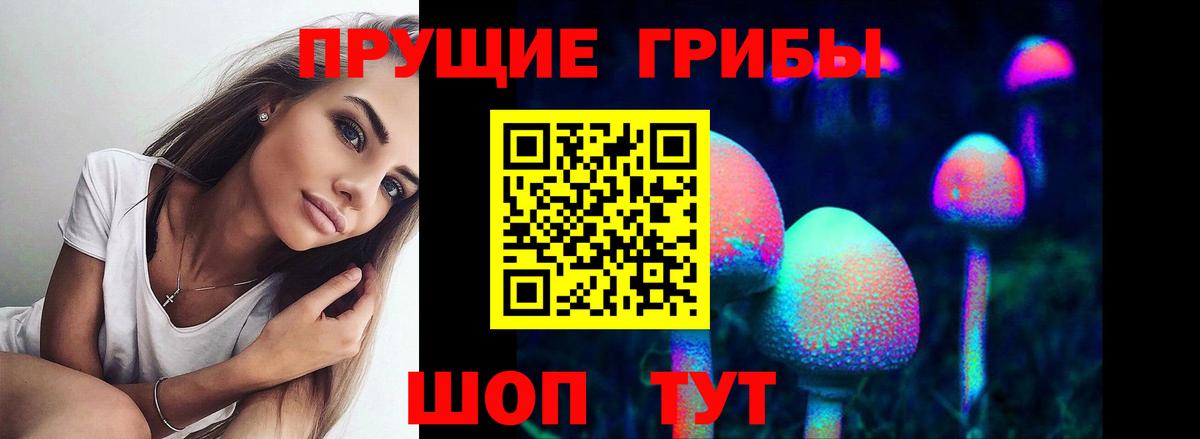 купить   Вход с VPN  Великий Устюг  Галлюциногенные грибы мухоморы 